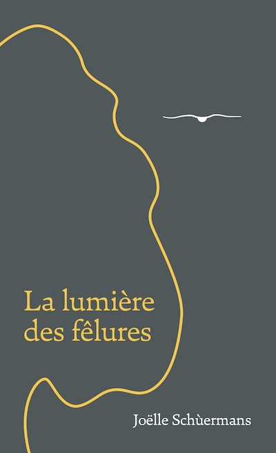La lumière des fêlures